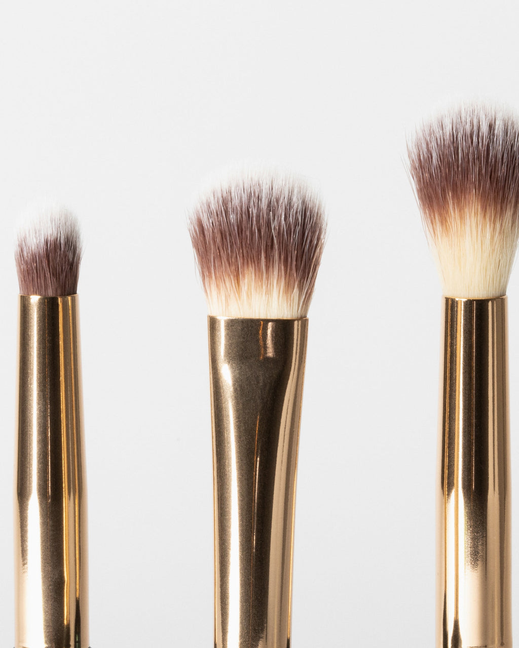 Brush collection 2025